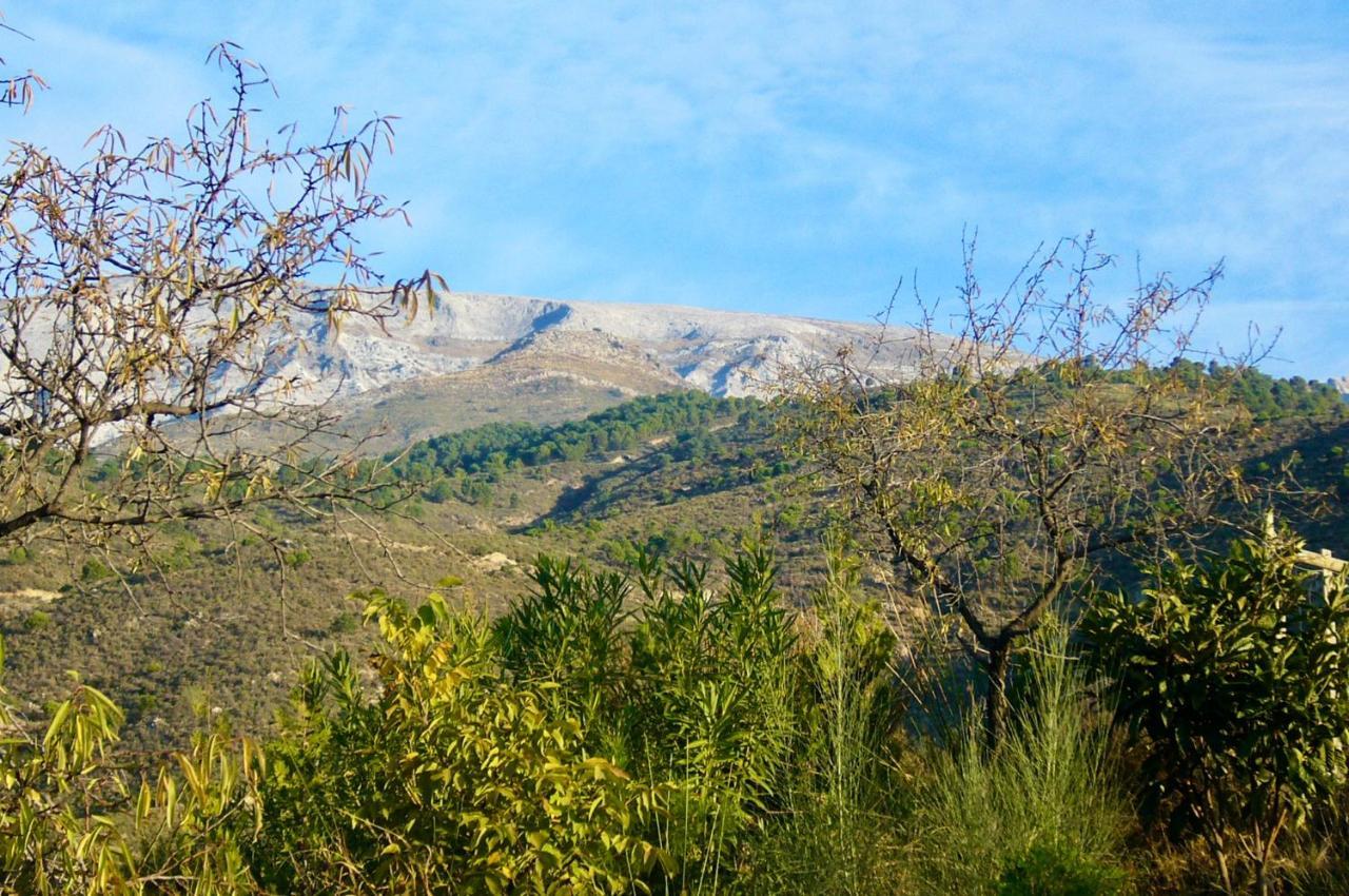Casa Jardin Natural Sedella Εξωτερικό φωτογραφία