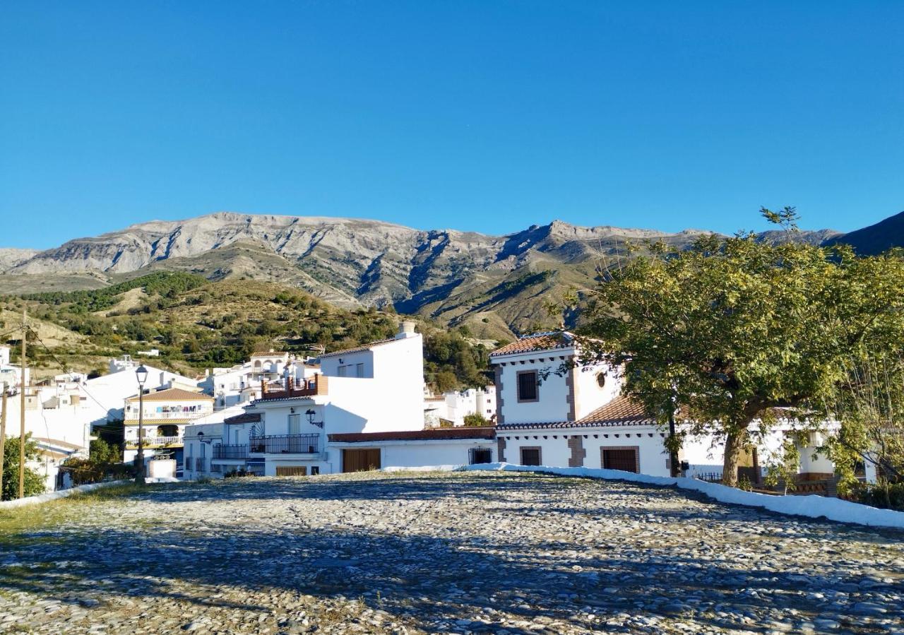 Casa Jardin Natural Sedella Εξωτερικό φωτογραφία