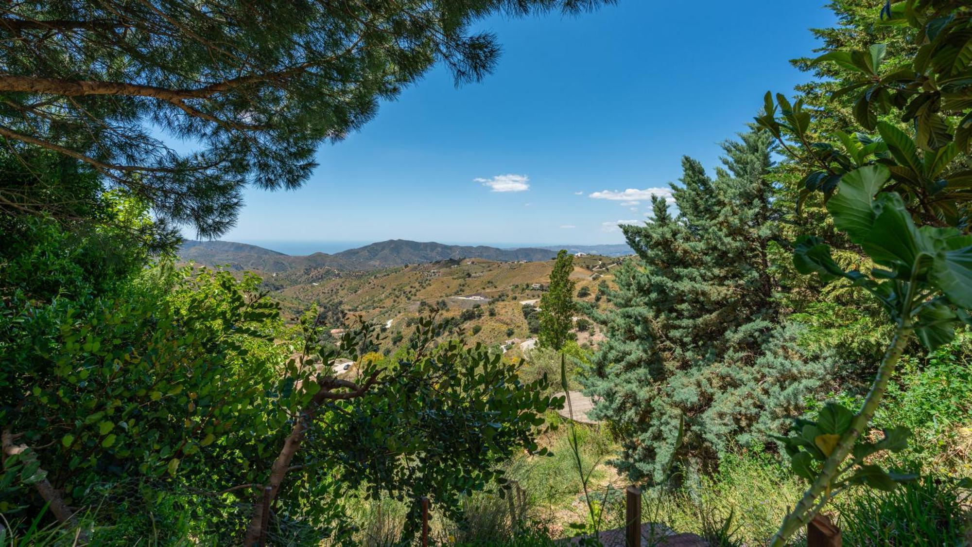 Casa Jardin Natural Sedella Εξωτερικό φωτογραφία